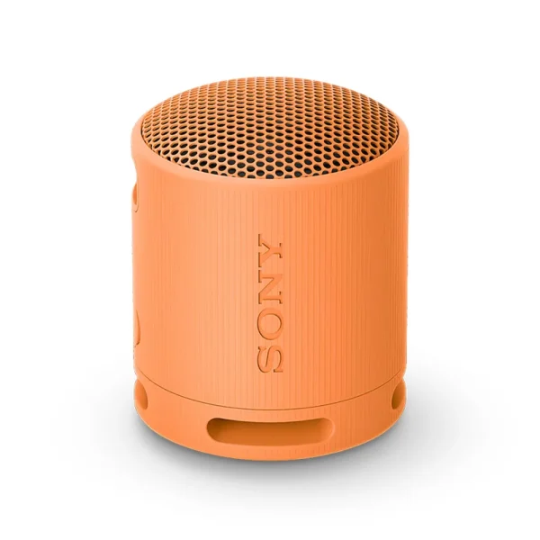 Sony SRS-XB100 Bluetooth Speaker